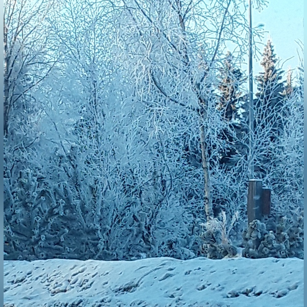 ✨Stay tuned for upcoming shows, pop-ups, and specialties shows!✨ - Picture 5 of 11